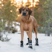 Load image into Gallery viewer, FINNERO - HALLA SOFTSHELL BOOTIES