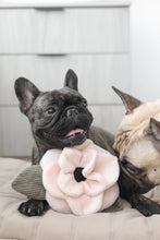 Load image into Gallery viewer, LAMBWOLF COLLECTIVE - POPPY