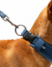Load image into Gallery viewer, UNITED PETS - PADDED SOFT COLLAR - DENIM