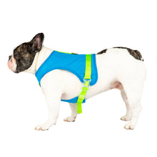 Load image into Gallery viewer, CANADA POOCH - CHILL SEEKER COOLING HARNESS
