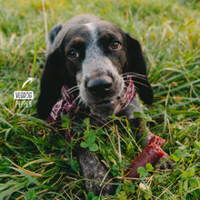 Load image into Gallery viewer, VEGDOG - CHEVVIES XL