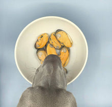 Load image into Gallery viewer, CANUMI - GREEN-LIPPED MUSSEL