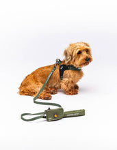 Load image into Gallery viewer, UNITED PETS - SOFT PADDED LEASH - GREEN