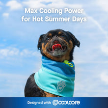 Load image into Gallery viewer, CANADA POOCH - MAX CHILL COOLING SNOOD - BLUE