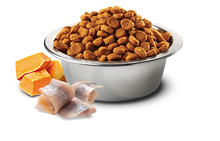 Load image into Gallery viewer, FARMINA OCEAN - ADULT CAT - HERRING, PUMPKIN AND ORANGE