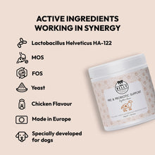 Load image into Gallery viewer, BELLY - PRE & PROBIOTIC SUPPORT