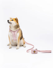 Load image into Gallery viewer, UNITED PETS - SOFT PADDED LEASH - PINK