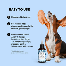 Load image into Gallery viewer, BELLY - CLEAN EARS