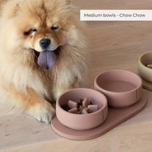 Load image into Gallery viewer, PINO - SLOW FEEDER BOWL - FOXY TERRA - SOLID