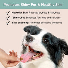 Load image into Gallery viewer, LOMI - HEALTHY SKIN & SHINY COAT