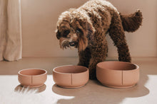 Load image into Gallery viewer, PINO PETS - CLASSIC BOWL - SALMON TERRA - SOLID