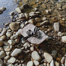 Load image into Gallery viewer, LAMBWOLF COLLECTIVE - MELLEM - CONVERTIBLE WATERPROOF LEASH