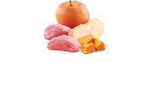 Load image into Gallery viewer, FARMINA PUMPKIN - ADULT CAT - WILD BOAR, PUMPKIN & APPLE