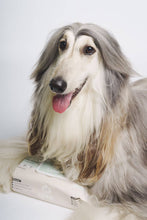 Load image into Gallery viewer, LOMI - BAMBOO GROOMING WIPES - PREMIUM SIZE