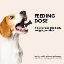 Load image into Gallery viewer, BELLY - ACTIVATED CHARCOAL MIRACLE