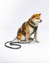 Load image into Gallery viewer, UNITED PETS - NYLON TRAINING LEASH - GREEN