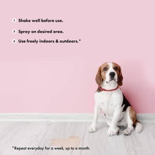 Load image into Gallery viewer, BELLY - STOP URINE SPRAY