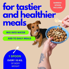 Load image into Gallery viewer, JAMPY - MY HEALTHY JOINTS - MOBILITY SUPPLEMENT