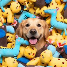 Load image into Gallery viewer, JAMPY - FERNANDA THE ZEBRA