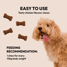 Load image into Gallery viewer, BELLY - PRE & PROBIOTIC SUPPORT