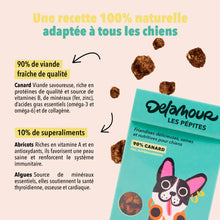 Load image into Gallery viewer, DELAMOUR - LES PÉPITES ON THE GO - AIR DRIED DUCK TREATS