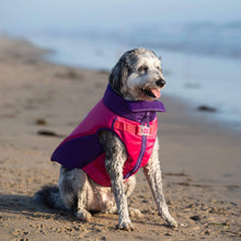 Load image into Gallery viewer, CANADA POOCH - HIGH TIDE DOG LIFE JACKET PINK/PURPLE