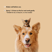 Load image into Gallery viewer, BELLY - DETANGLE & GLOSSY