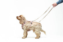 Load image into Gallery viewer, UNITE PETS - GUMI MULTIFUNCTIONAL TRAINING LEASH - BEIGE