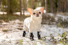 Load image into Gallery viewer, FINNERO - HALLA SOFTSHELL BOOTIES