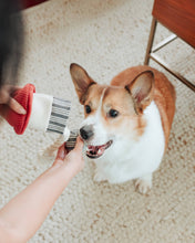 Load image into Gallery viewer, LAMBWOLF COLLECTIVE - ROCKET CONFETTI