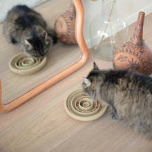 Load image into Gallery viewer, PINO - SLOW FEEDER & INTERACTIVE BOWL - FOXY TERRA - SOLID