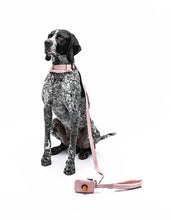 Load image into Gallery viewer, UNITED PETS - SOFT PADDED LEASH - PINK