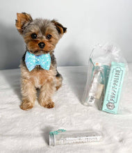 Load image into Gallery viewer, WAG & BRIGHT - PUPPY POLISHER ECO TOOTHBRUSH