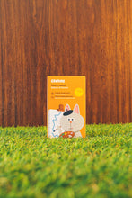 Load image into Gallery viewer, CANUMI - NATURAL SALMON