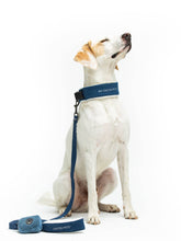 Load image into Gallery viewer, UNITED PETS - LEASH WITH PADDED HANDLE - DENIM
