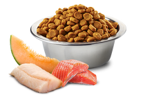 Load image into Gallery viewer, FARMINA OCEAN - ADULT DOG - SALMON, COD & CANTALOUPE MELON - MINI