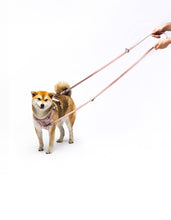 Load image into Gallery viewer, UNITED PETS - NYLON TRAINING LEASH - PINK