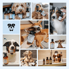 Load image into Gallery viewer, BELLY - NO TEARS