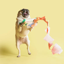 Load image into Gallery viewer, THE FURRYFOLKS - DOGGO WIPES