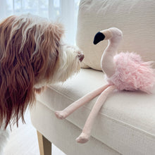 Load image into Gallery viewer, LAMBWOLF COLLECTIVE - FLAMINGO