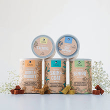 Load image into Gallery viewer, GIZZLS - 100% NATURAL GUT SUPPORT DOG TREATS