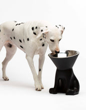 Load image into Gallery viewer, UNITED PETS - ELIZABETH - THE QUEEN OF BOWL