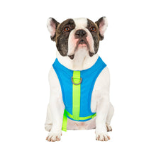 Load image into Gallery viewer, CANADA POOCH - CHILL SEEKER COOLING HARNESS