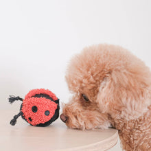 Load image into Gallery viewer, LAMBWOLF COLLECTIVE - LADYBUG POP