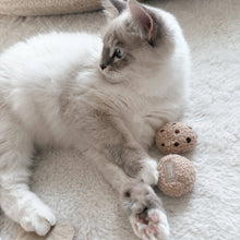 Load image into Gallery viewer, LAMBWOLF COLLECTIVE - KITTY TEA TIME
