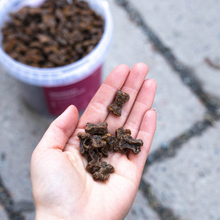 Load image into Gallery viewer, BUDDY PET FOODS - VENISON TRAINING SNACKS