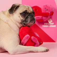 Load image into Gallery viewer, THE FURRYFOLKS - LOVE LOCKED