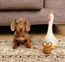 Load image into Gallery viewer, UNITED PETS - TATO