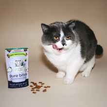 Load image into Gallery viewer, VEGCAT - VEGCAT PURE BITES 60 g