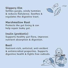 Load image into Gallery viewer, GIZZLS - 100% NATURAL GUT SUPPORT DOG TREATS